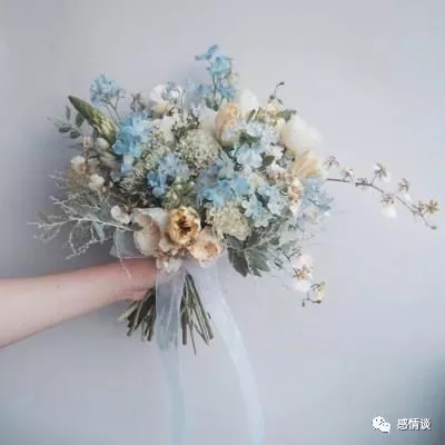 猫恋奇谭破解版下载
